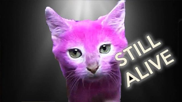 PAWSA-The Groovy Cat (Extended Mix) смотреть онлайн
