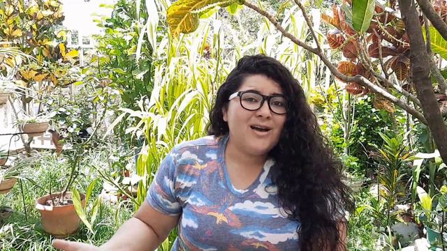 Viento y cielo alcanzar - Brave Cover смотреть онлайн