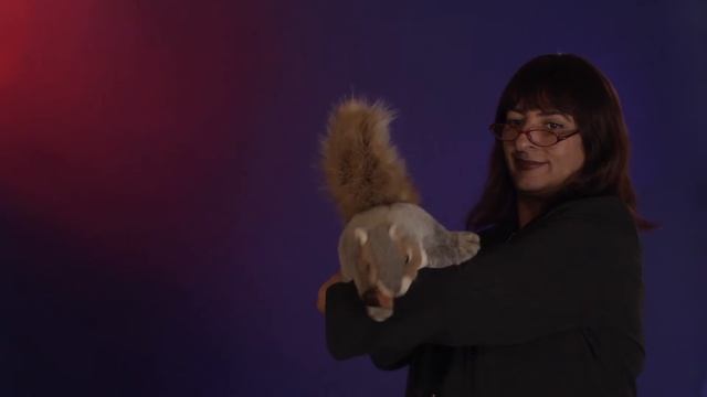 Folkmanis® Gray Squirrel Puppet Demo смотреть онлайн