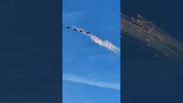 Стрижи в Кемерово смотреть онлайн