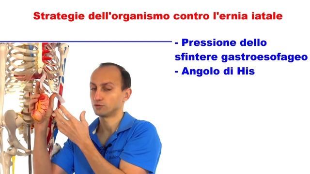 Ernia Iatale: le Cause e gli Esercizi Posturali смотреть онлайн