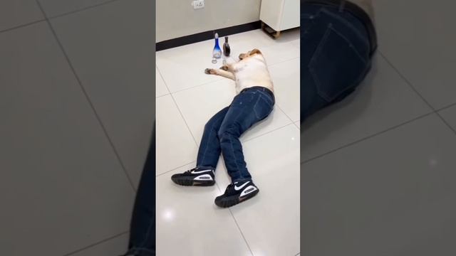 Все рассчитано