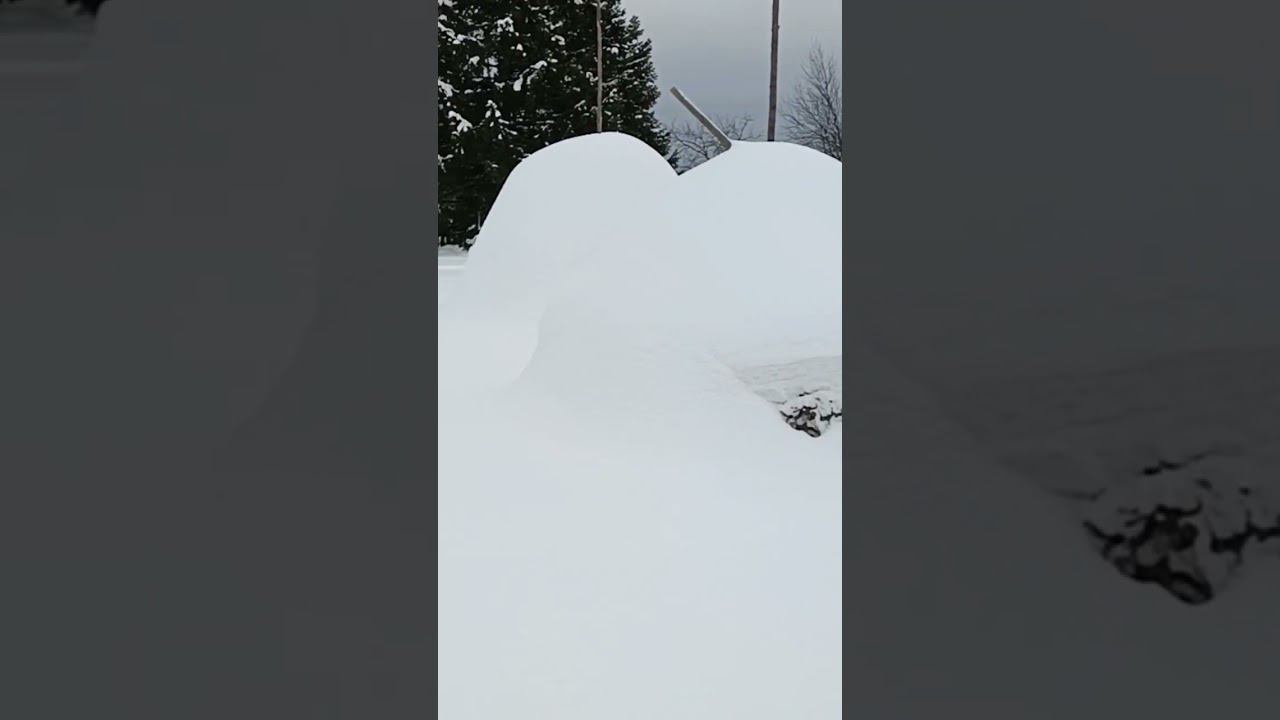 Ларвен двухместный