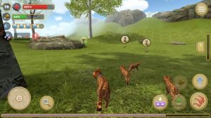 СИМУЛЯТОР КОТА и КОШКИ в ПОИСКАХ КЛУБКОВ