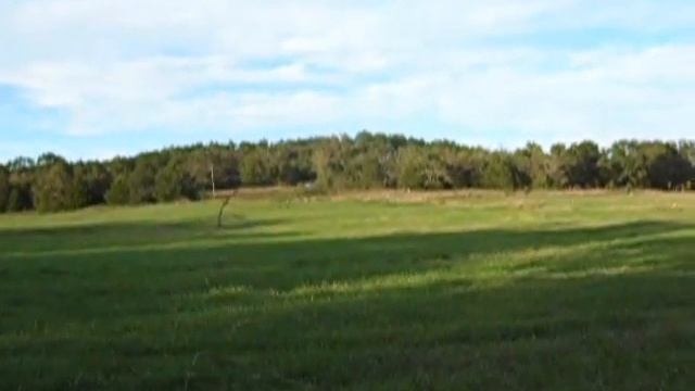 A Look at Lunenburg смотреть онлайн