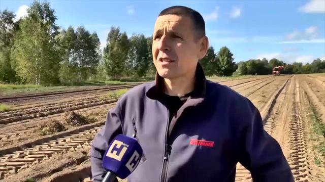 Как возвращают фермеры брошенные сельхоз земли в оборот? Расчистка полей от деревьев смотреть онлайн