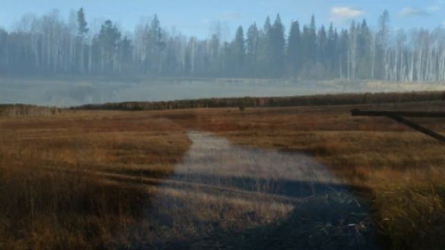 Полигон старатель.Нижний Тагил. смотреть онлайн