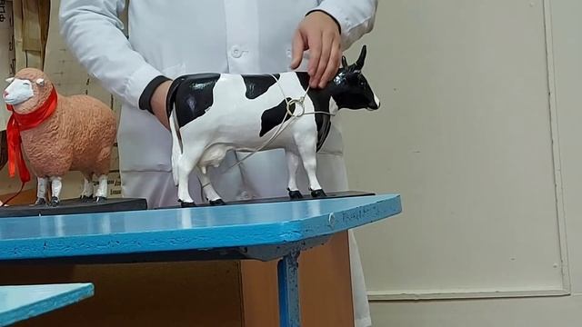 Повал лошадей ? Повал по Решетняку и Модифицированный русский повал смотреть онлайн