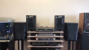 Колонки Radiotehnika S30B