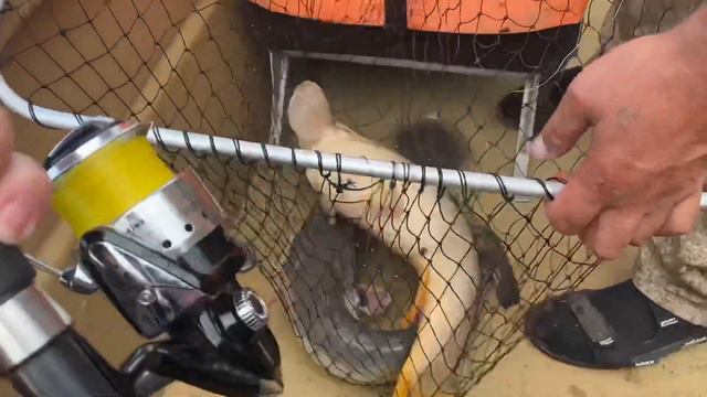 Астрахань, рыбалка конец сентября 2022г смотреть онлайн