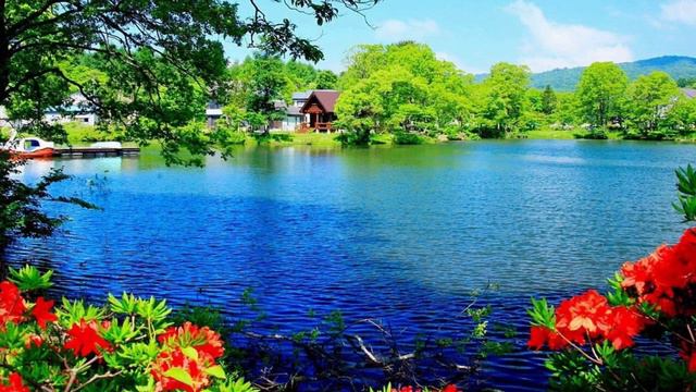 История из жизни. Кассир банка поплатилась за свои слова... смотреть онлайн