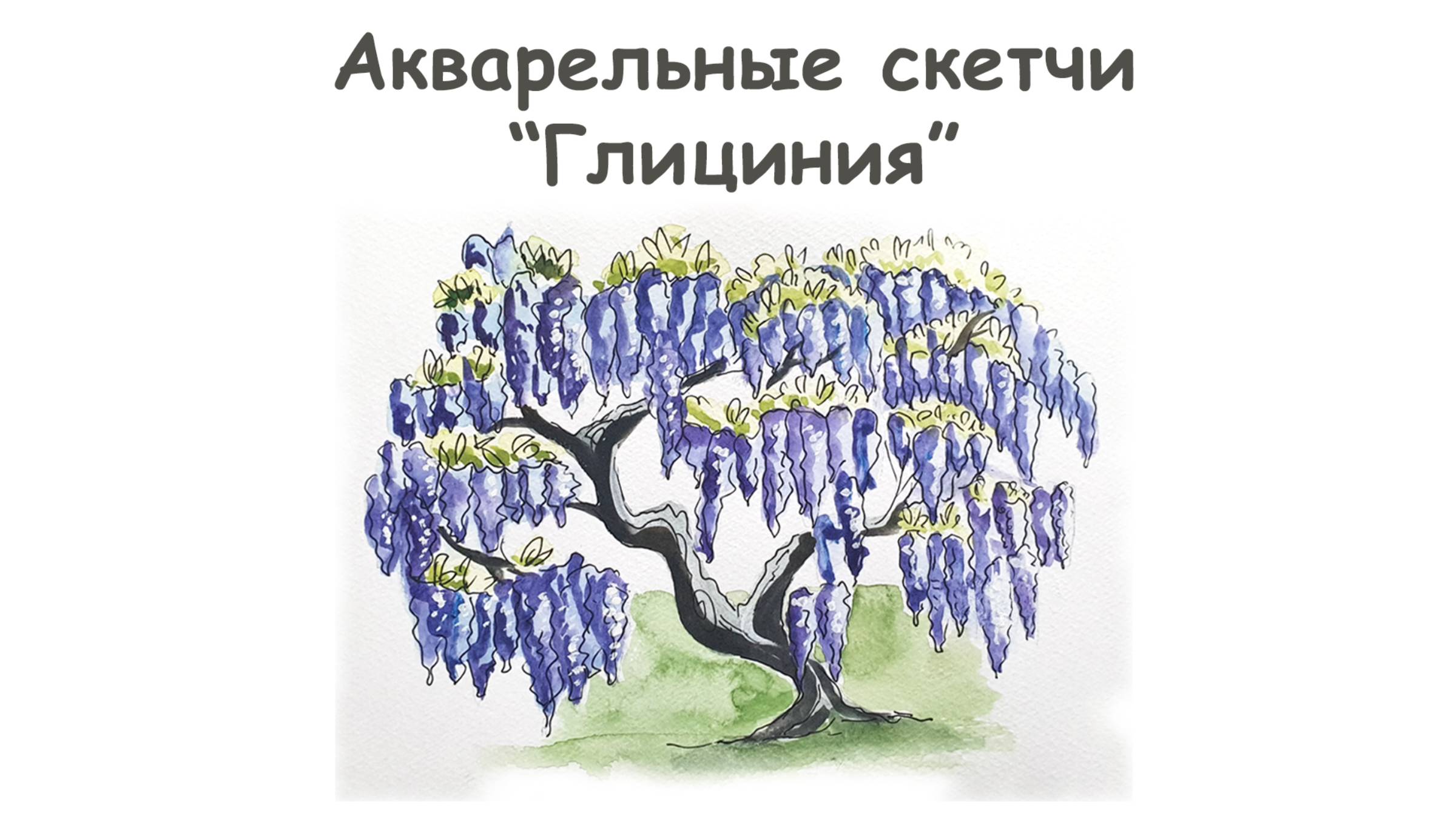 Как нарисовать Глицинию? / Урок по рисованию для начинающих от more-art.ru смотреть онлайн
