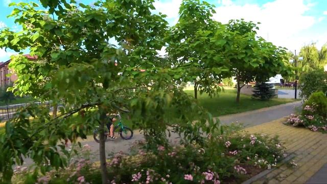 СИРЕНОГОЛОВЫЙ В ЛЕСУ, КАТАЕМСЯ НА ВЕЛОСИПЕДЕ! смотреть онлайн