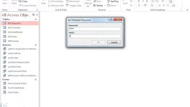 Microsoft  Access 2016: Password Protect