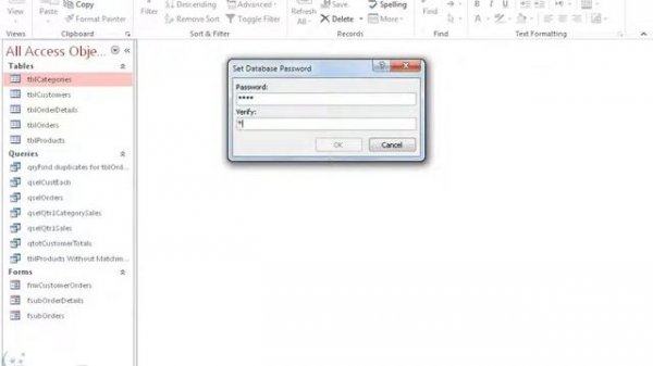 Microsoft Access 2016: Password Protect