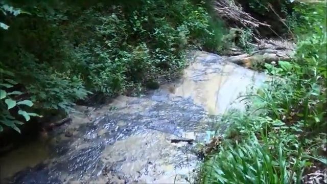 В Татарском лесу июль 2017 смотреть онлайн