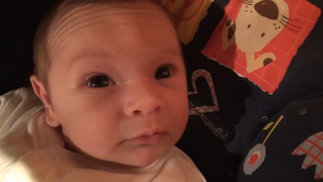 Molnár Csenge смотреть онлайн