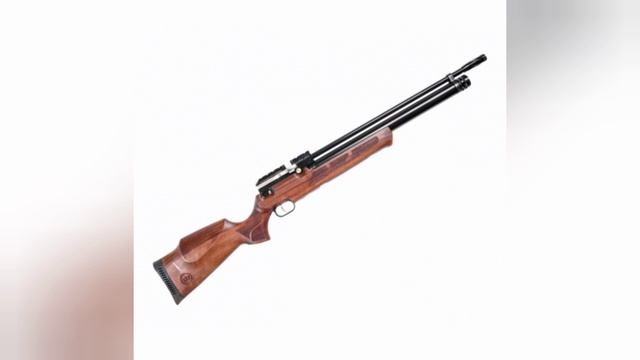 ТОП 10 ПНЕВМАТИКИ ДЛЯ ОХОТЫ