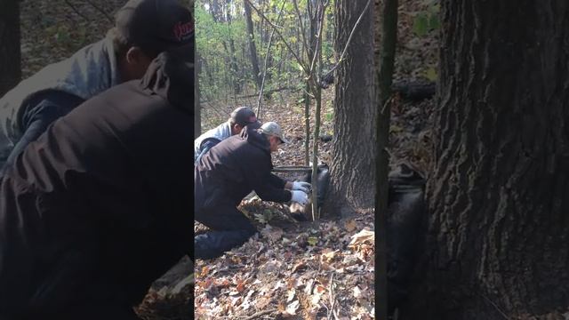спасение животных барсук часть 2 смотреть онлайн