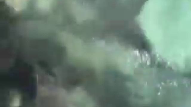 Feeding Sharks in The Exumas, Bahamas смотреть онлайн
