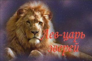 Лев-царь всех зверей.