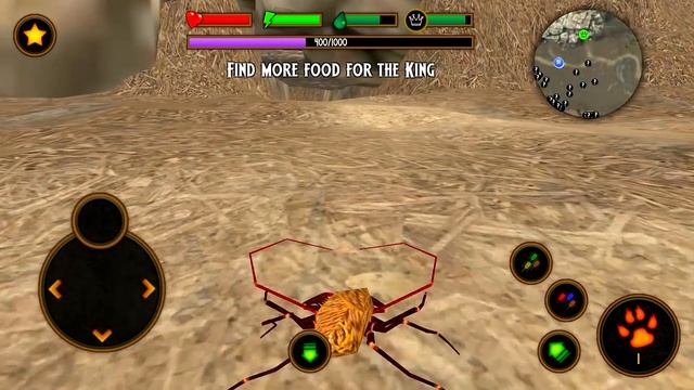 Life of Phrynus Whip Spider Android Gameplay HD смотреть онлайн