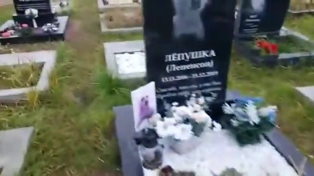 Кладбище для животных в Питере. Людям некуда девать деньги... смотреть онлайн