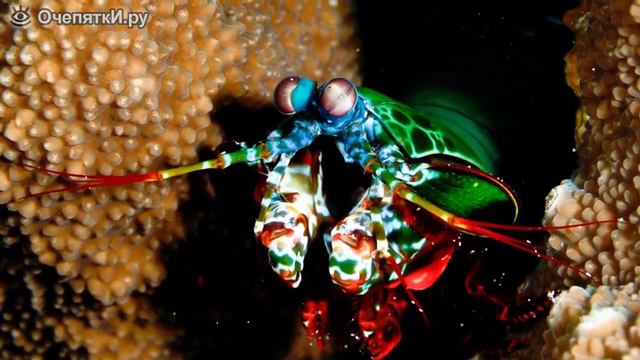 Необъяснимые факты № 15 смотреть онлайн