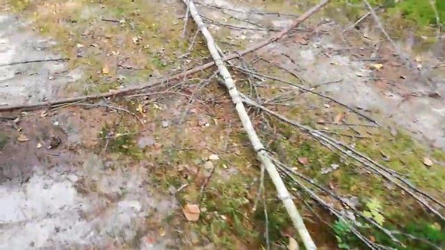 ЖАРА-2018. Грибы на трассе, которые никому не нужны смотреть онлайн