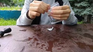 Зеленый Плющ Бостон Семена c Aliexpress