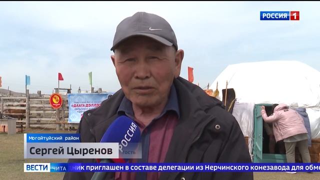 В селе Цаган-Челутай Могойтуйского района прошел национальный праздник "Даага дэллээн" смотреть онлайн