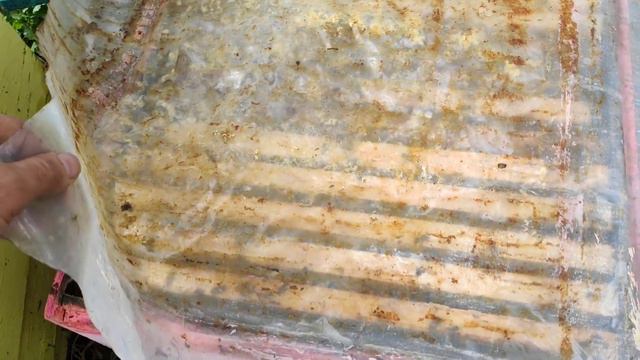 Августовский отводок в инкубаторе с племенной маткой смотреть онлайн