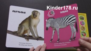 Детская музыкальная книга "Зоопарк" Весёлые голоса. Азбукварик. Видео-обзор