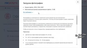 Особенности первой Замены Паспорта в 20 лет через Госуслуги