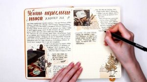 Оформляем читательский дневник #2 | reading journal | Мой читательский дневник