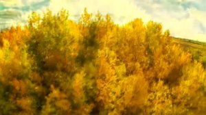 ФУТАЖ РУССКОЕ ПОЛЕ