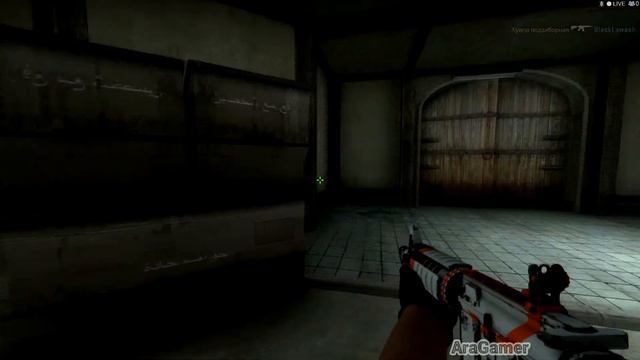 CS:GO - Ace . Luck Out ! смотреть онлайн