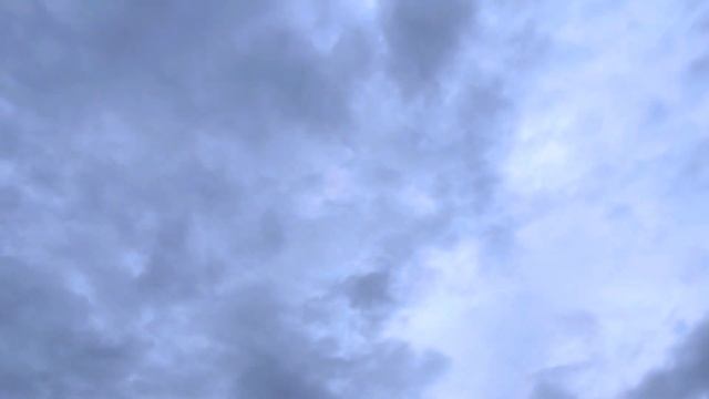 Покровский Собор. Воронеж.