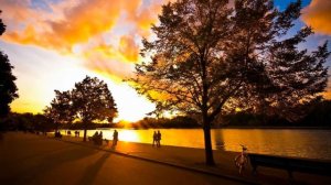 Подмосковные вечера. Владимир Трошин. Best Russian Songs