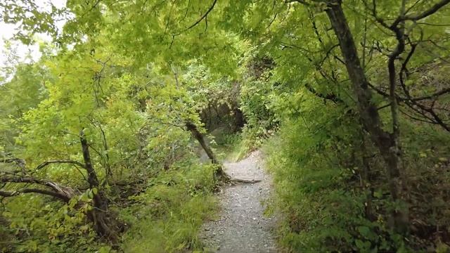 Туапсе.Кладбище домашних животных. Лестница на Кадош. смотреть онлайн