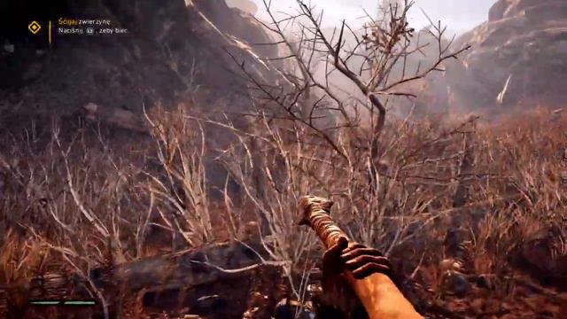 Far Cry Primal Первый запуск игры FIRST LOOK смотреть онлайн