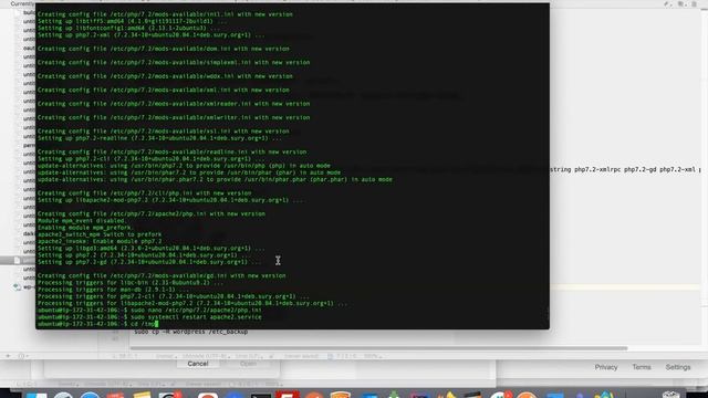 Install WordPress with Apache2 on AWS EC2 | AWS EC2 Install Wordpress смотреть онлайн