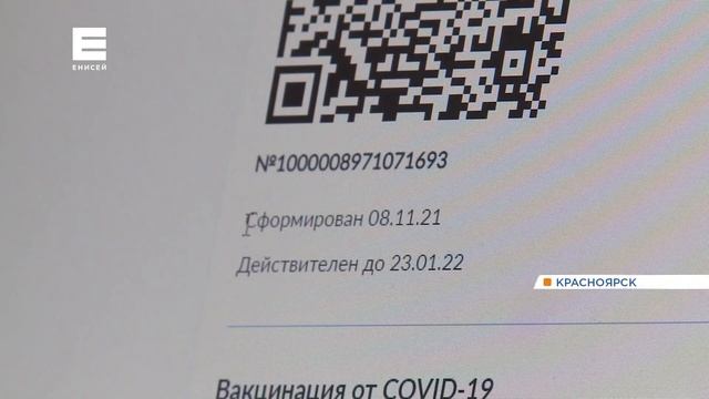 Введение QR-кодов в организациях края будет согласовывать главный санитарный врач региона смотреть онлайн