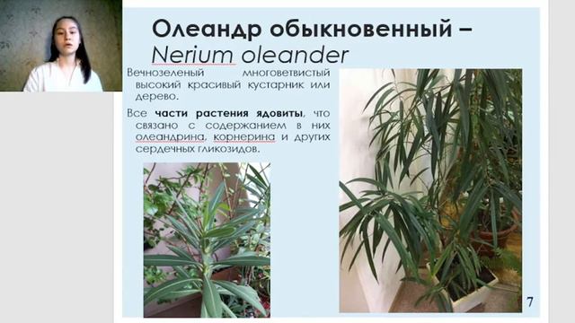ИСТОРИЯ ЗИМНЕГО САДА КАФЕДРЫ ФАРМАКОГНОЗИИ С БОТАНИКОЙ И ОСНОВАМИ ФИТОТЕРАПИИ смотреть онлайн