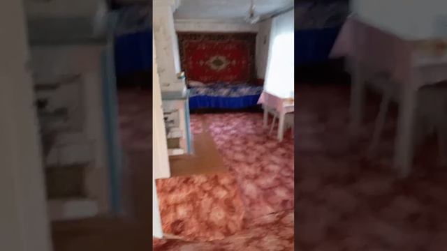 11429796 смотреть онлайн