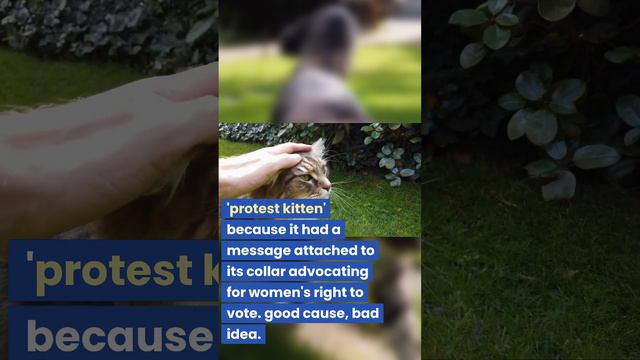 #Amazing #Facts you dont know #106 смотреть онлайн