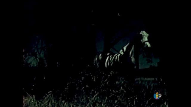 Slavers (1978) | Ron Ely Britt Ekland