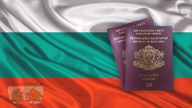 Акционный каталог с самыми выгодными предложениями