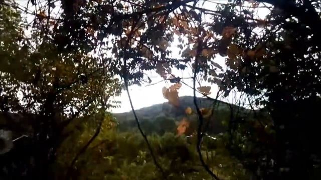 Вот это БАНЯ! Праздник 22 сентября в Центральном смотреть онлайн