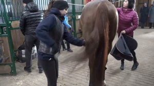 КСК "Звёздный". 05 февраля 2022.